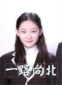 一路向北电影在线观看,穿越时光的浪漫之旅  第2张