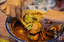 牛蛙爆料视频大全,揭秘幕后真相，带你走进神秘世界  第2张